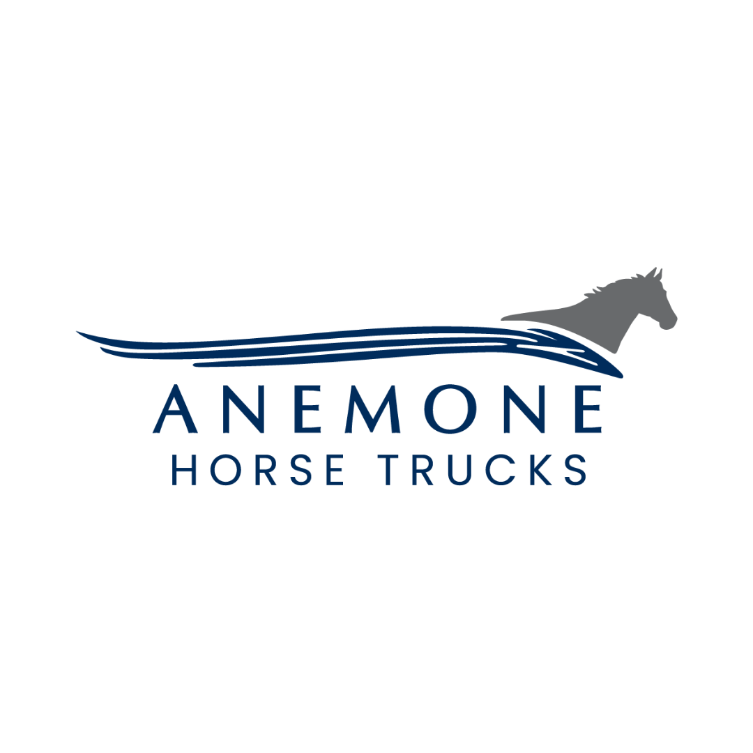 Anemone-logo-2022